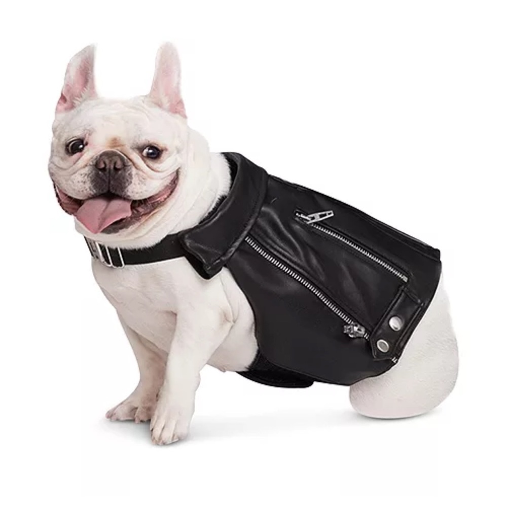 Blank NYC Dog Faux Leather Moto Jacket